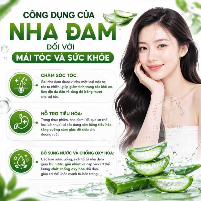 Công dụng của nha đam đối với làn da